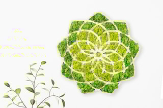 Decoração de parede Daisy - Verde e branco - 44 x 1,6 x 44 cm
