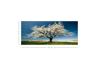 Tableau en bois - 50 x 120 cm