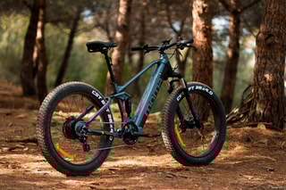 Elektrische Mountainbike E-FAT PRO Grijs en Zwart