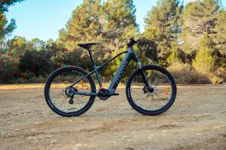 Elektrische Mountainbike EMTB Grijs en Zwart