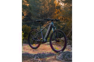 Elektrische Mountainbike EMTB Grijs en Zwart