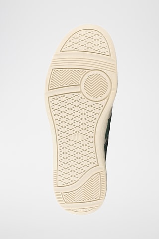 Leren Sneakers Pallacup - Ecru en groen