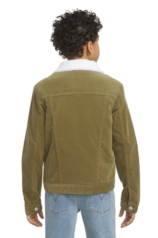 Veste - Vert