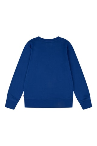 Sweat - Bleu
