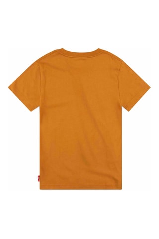 T-shirt en coton biologique - Marron