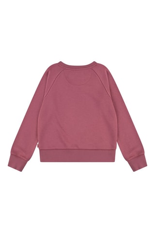 Sweat - Rose