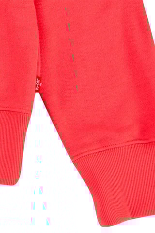 Sweat à capuche - Blanc et rouge
