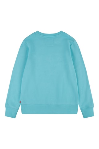 Sweat - Blanc et bleu