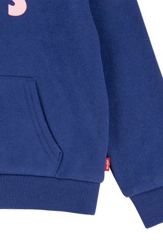 Sweat à capuche - Bleu et rose