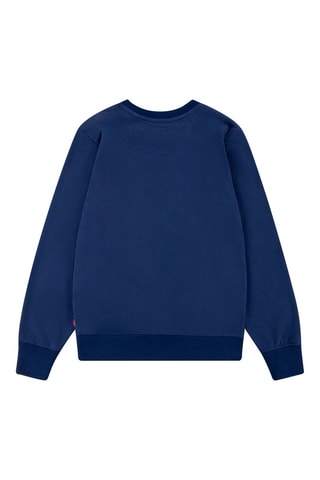 Sweat - Blanc, rouge, bleu et marron