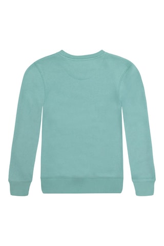Sweat en coton biologique - Blanc, bleu, violet et rose