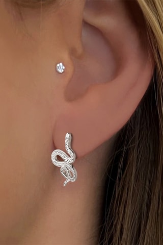 Oorbellen   Zilver