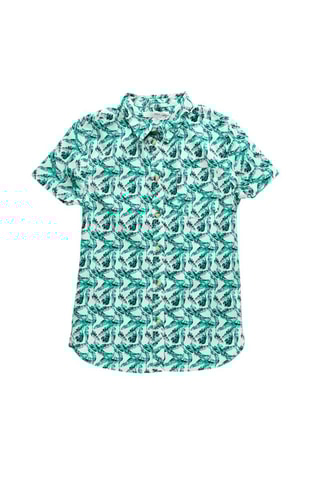 Camisa - Turquesa e branco
