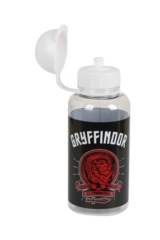 Gourde Harry Potter 500 ml