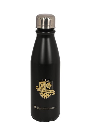 Bouteille Harry Potter 500 ml
