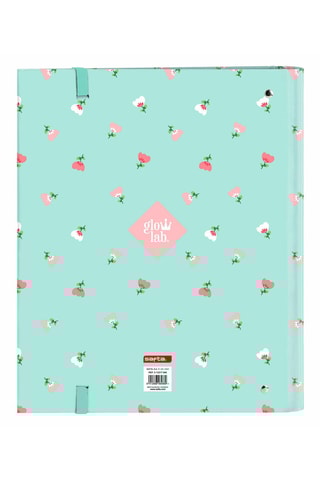 Dossier com argolas - Verde e rosa - 27 x 32 x 3,5 cm