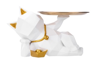 Decoratie TechKidz - Kat Pacha -