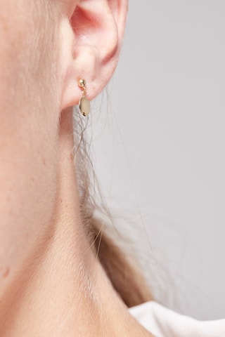 Boucles d'oreilles Goldy  -  Or jaune