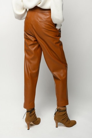 Broek - Bruin
