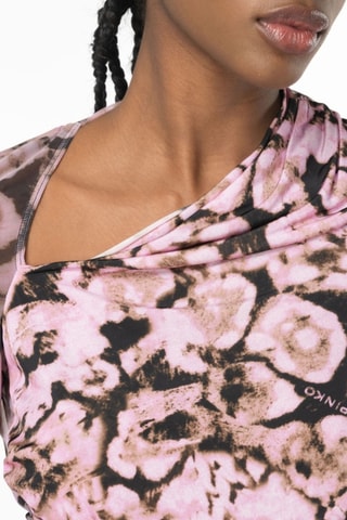 Top Rose