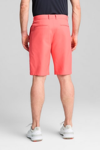 Short Dealer - Corail