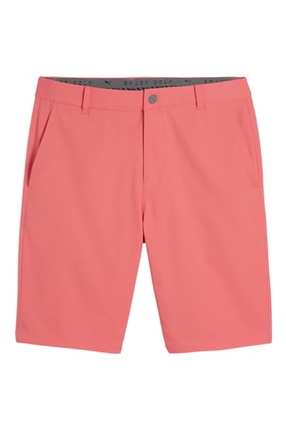 Short Dealer - Corail