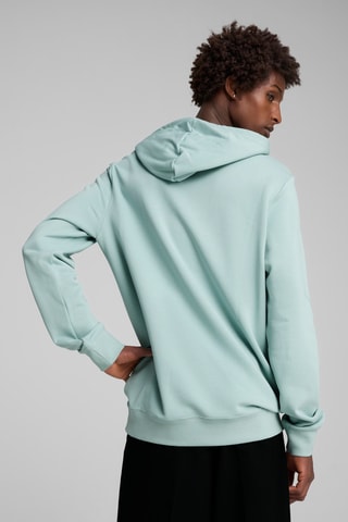 Sweat à capuche ESS 2 Color - Vert d’eau