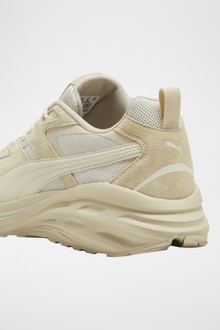 Baskets Hypnotic LS - Beige