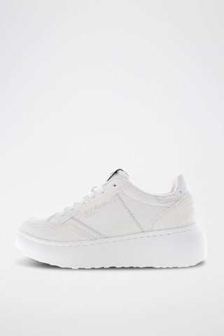 Platform Sneakers Meghan - Wit