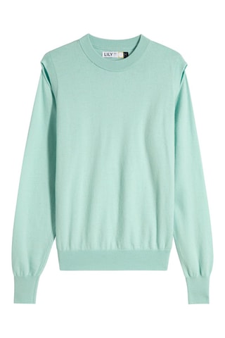 Pull en laine de mouton Vert pâle