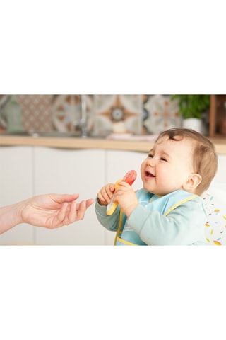 Caixa de snacks sem BPA - A partir dos 4 meses