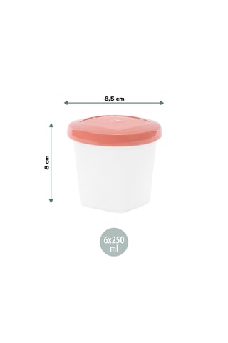 6 boîtes de conservation biosourcées - 250 ml