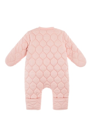 Skipak Roze