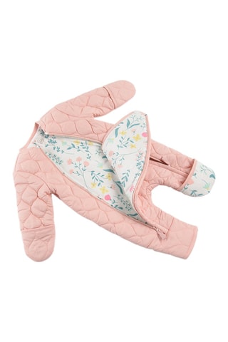 Skipak Roze