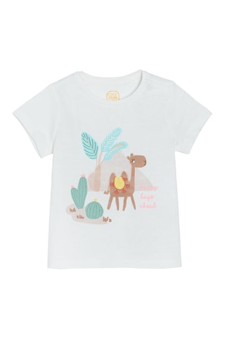 3 T-shirts Geel, groen en wit