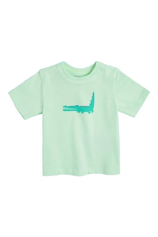 3 T-shirts Turquoise, Zeegroen en Lichtgroen