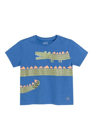 T-shirt en Polo Olijfgroen en Koningsblauw