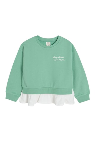 Sweater Groen