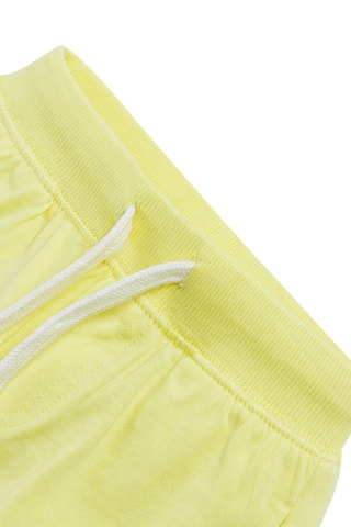 Short Groen