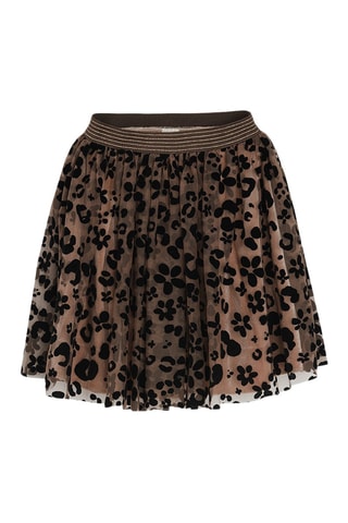 Rok - Bruin