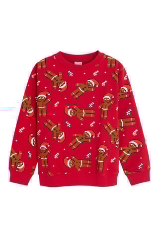 Sweater - Rood