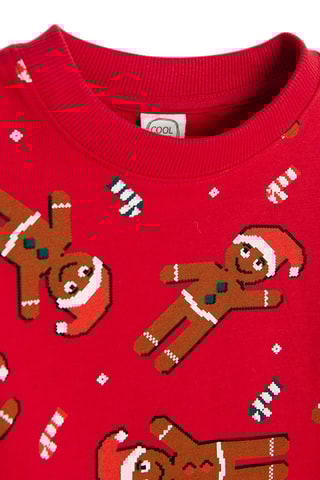 Sweater - Rood