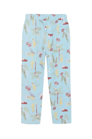 Broek Hemelsblauw