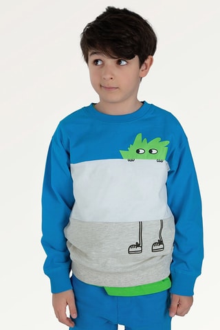 Sweater Koningsblauw en Gemêleerd Grijs