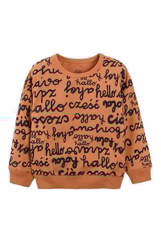 Sweater Bruin