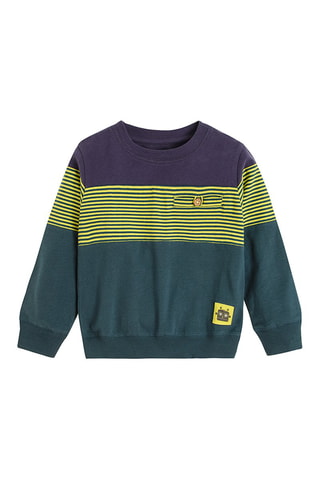 Sweater Marineblauw en Groen