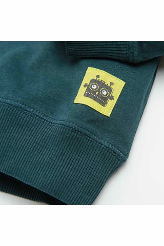 Sweater Marineblauw en Groen