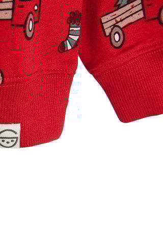 Sweater Rood