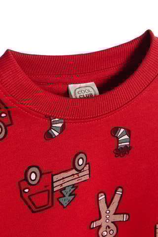 Sweater Rood