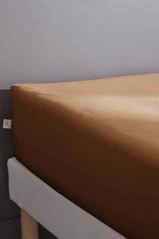 Drap-housse en percale de coton 80 fils/cm² Bally  - Marron